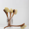 Uvita Dish Brush