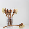 In Fluxx Dish Brush